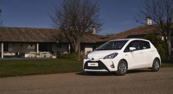 Nuevo Toyota Yaris hybrid Ecovan, el vehículo con etiqueta ECO para los profesionales