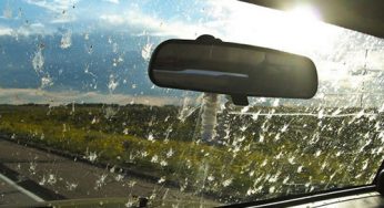 Cómo mantener limpios y en buen estado los cristales del coche en verano, la época en la que más parabrisas se rompen