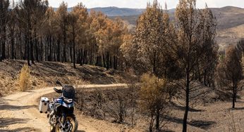 Visitando con la F 850 GS el bosque de Ateca arrasado este verano por un incendio, la plaga que arrasa los montes de España año tras año