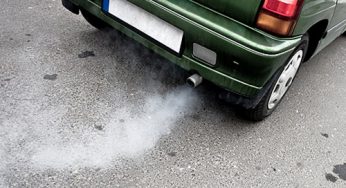 Los motores diésel potencian la acción alérgica del polen