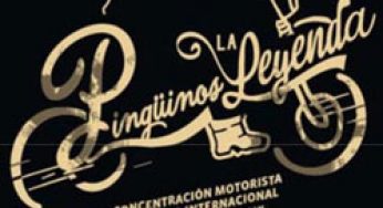 Este fin de semana, más de 25.000 ‘pingüinos’ se reunirán en Valladolid