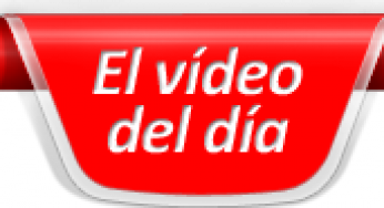 ¡Lo que es capaz de hacer un gato por viajar en un Toyota Auris!