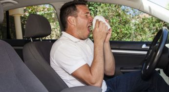 Las claves para que los alérgicos conduzcan de forma segura