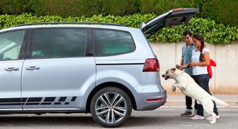 Te damos ocho consejos para viajar con tu mascota en el coche