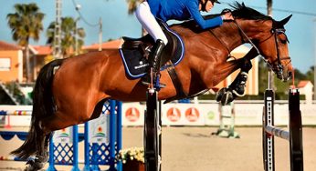 Diana Marsá, la amazona patrocinada por Suzuki Ibérica, prepara un 2018 de lo más intenso