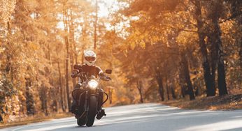 Sabías que el seguro de tu moto no cubre un choque contra un animal?