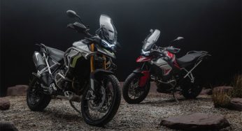 Tiger 900 Rally Aragón Edition y Tiger 900 GT Aragón Edition, las dos nuevas Triumph para celebrar la victoria de Iván Cervantes